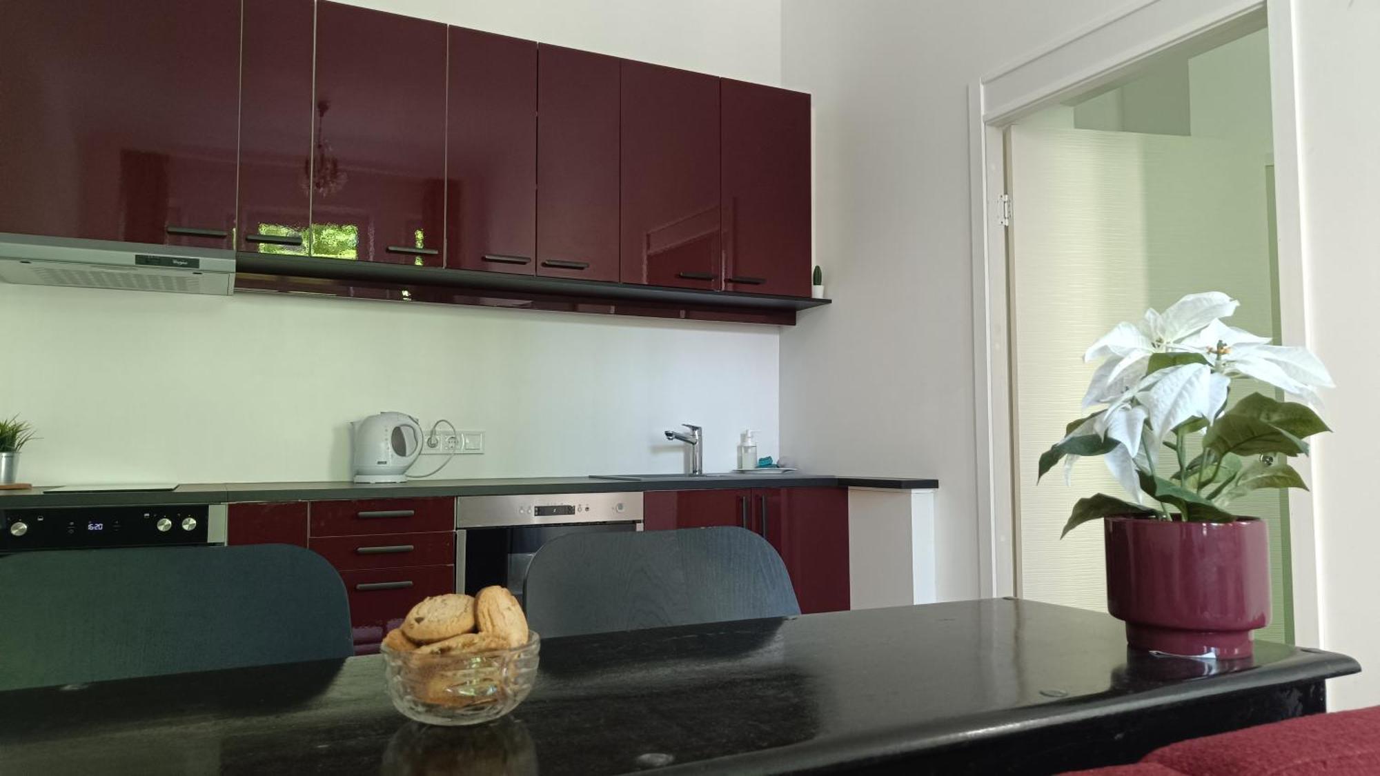 Julia Lacplesa Apartments Рига Экстерьер фото